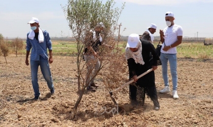 الإغاثة الزراعية بغزة تصدر ورقة سياسات حول تحسين البيئة الفلسطينية 