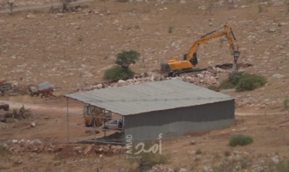 قوات الاحتلال تقتلع عشرات أشجار زيتون في الأغوار
