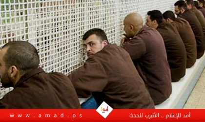 إدارة سجون الاحتلال تنقل الأسير المعزول "حامد" لعزل "مجدو"