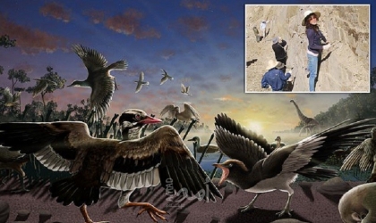 طائر غريب بذقن متحرك جاب الصين منذ (120) مليون سنة!