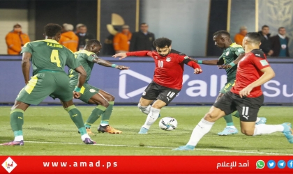 مصر تخفق في بلوغ كأس العالم لكرة القدم "قطر 2022" - فيديو