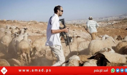 رام الله: مستوطنون إرهابيون يهاجمون المزارعين في "أم صفا"