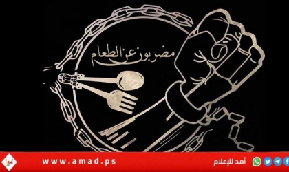 (9) أسرى يواصلون إضرابهم المفتوح عن الطعام داخل سجون الاحتلال