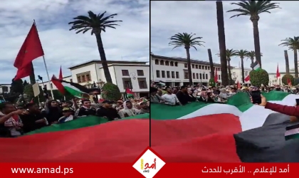 مظاهرة حاشدة في المغرب تضامناً مع غزة- فيديو
