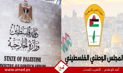 فتوح: بدء التحضيرات لاستكمال انتخاب أعضاء المجلس الوطني في الشتات