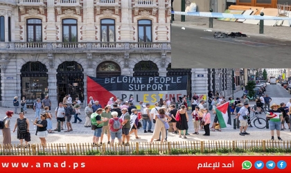اعتقال منفذ عملية طعن خلال مظاهرة مؤيدة لفلسطين في بروكسل - فيديو