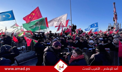 الآلاف يشاركون في تظاهرة دعما لغزة في اسطنبول - فيديو