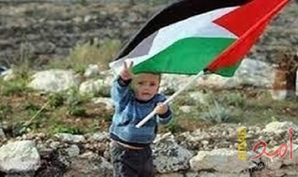 أمنستي: حظر رفع الأعلام الفلسطينية شرعنة للعنصرية
