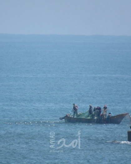 تضامنا مع شهداء "اللحام"..نقابة الصيادين بغزة تعلّق مهنة الصيد حتى الثلاثاء