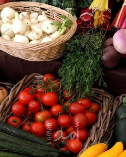 أسعار الخضراوات واللحوم في أسواق قطاع غزة "الثلاثاء"