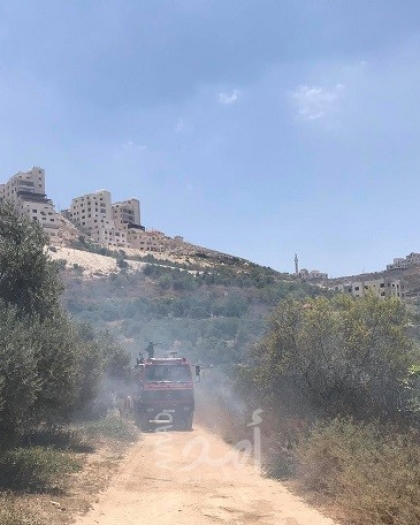 طواقم الدفاع المدني تسيطر على حريق اندلع في دونمات أشجار زيتون غرب نابلس