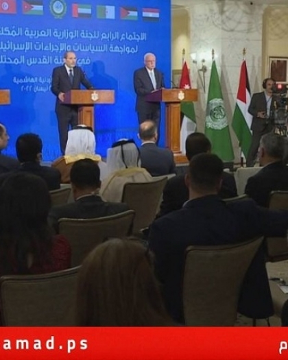 المالكي: اجتماع اللجنة الوزارية العربية حمل نتائج إيجابية تحتاج الى متابعة