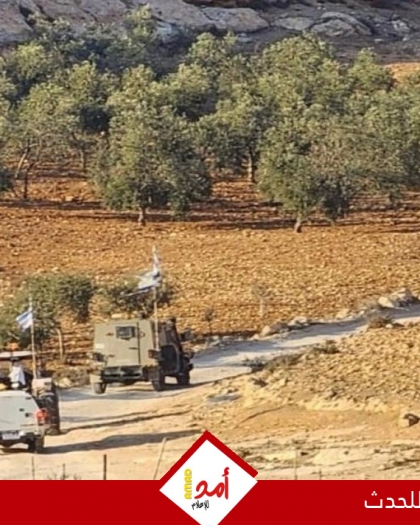 قوات الاحتلال تستولي على 120 شتلة من الأشجار الحرجية والمثمرة في مسافر يطا جنوب الخليل