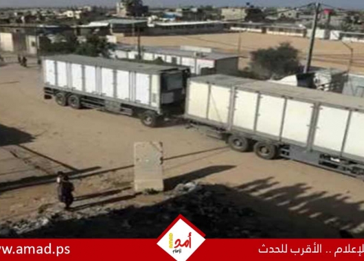 للمرة الأولى..8 شاحنات مساعدات غذاء دخلت غزة من ميناء أسدود