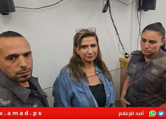 اطلاق سراح بروفيسور نادرة شلهوب بعد اعتقالها التعسفي