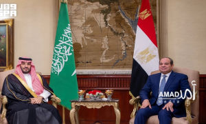 قمة مصرية سعودية بالقاهرة تؤكد على الشراكة الاستراتيجية والتوافق المطلق إزاء القضايا الإقليمية 